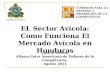 Jose A. Ochoa Alianza Inter Americana de Defensa de la Competencia Agosto 2011 COMISIÓN PARA LA DEFENSA Y PROMOCIÓN DE LA COMPETENCIA EL Sector Avícola: