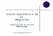Visión hemisférica de la Migración Organización de Estados Americanos Luis Herrera-Lasso M Abril 15, 2008