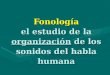 Fonología el estudio de la organización de los sonidos del habla humana