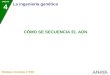 UNIDAD 4 La ingeniería genética Biología y Geología 4.º ESO CÓMO SE SECUENCIA EL ADN