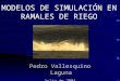 MODELOS DE SIMULACIÓN EN RAMALES DE RIEGO Pedro Vallesquino Laguna julio de 2004