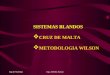 51249733 d07 Metodologia Wilson Cruz de Malta