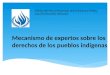 Mecanismo de expertos sobre los derechos de los pueblos indígenas Oficina del Alto Comisionado de las Naciones Unidas para los Derechos Humanos
