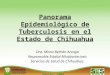 Agosto, 2009 Panorama Epidemiológico de Tuberculosis en el Estado de Chihuahua Dra. Mirna Beltrán Arzaga Responsable Estatal Micobacteriosis Servicios