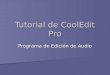 Tutorial de CoolEdit Pro Programa de Edición de Audio