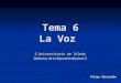 Tema 6 La Voz E.Universitaria de Toledo Didáctica de la Expresión Musical II Felipe Gértrudix