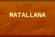 MATALLANA. La Finca Coto Bajo de Matallana ofrece a sus visitantes un equipamiento en el que pueden valorar y reconocer la riqueza medioambiental de su