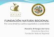 FUNDACIÓN NATURA REGIONAL Por una América Latina equitativa y sostenible Rosalía Arteaga Serrano Directora Ejecutiva Fundación Natura Regional