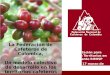 La Federación de Cafeteros de Colombia, Un modelo colectivo de desarrollo en los territorios cafeteros Presentación para Encuentro Territorios en Movimiento