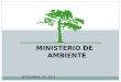 MINISTERIO DE AMBIENTE SEPTIEMBRE DE 2012. EL SAICM El Enfoque Estratégico para la Gestión Internacional de Productos Químicos (SAICM) es un marco de