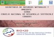SECRETARIA DE RECURSOS NATURALES Y AMBIENTE SERNA CONSEJO NACIONAL DE DESARROLLO SOSTENIBLE CONADES Compromisos Internacionales RIO +20 Honduras, 11 de
