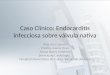 Caso Clínico: Endocarditis infecciosa sobre válvula nativa Aida Acín Labarta Cristina Goena Vives Amaia Ibarra Gutiérrez Servicio de Cardiología. Hospital