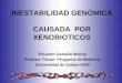 INESTABILIDAD GENÓMICA CAUSADA POR XENOBIOTICOS Eduardo Castaño Molina Profesor Titular- Programa de Medicina Universidad de Caldas-UAM