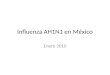 Influenza AH1N1 en México Enero 2010. Infecciones respiratorias agudas(J00-J06, J20, J21 excepto J02.0 y J03.0) Nacional (Todas las instituciones)
