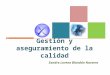 Gestión y aseguramiento de la calidad Sandra Lorena Blandón Navarro