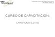 CURSO DE CAPACITACIÓN: CANDADEO (LOTO) Industrias Acros Whirlpool S.A. DE C.V. PLANTA CROLLS