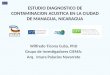 ESTUDIO DIAGNOSTICO DE CONTAMINACION ACUSTICA EN LA CIUDAD DE MANAGUA, NICARAGUA Wilfredo Ticona Cuba, PhD Grupo de Investigadores CIEMA: Arq. Imara Palacios