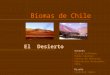 Biomas de Chile El Desierto Autores Alicia Hoffmann. Pablo Sánchez. Centro de Recursos Educativos Avanzados, CREA. Diseño Carolina López