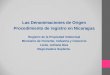 Las Denominaciones de Origen Procedimiento de registro en Nicaragua Registro de la Propiedad Intelectual Ministerio de Fomento, Industria y Comercio Licda