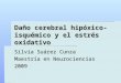 Daño cerebral hipóxico- isquémico y el estrés oxidativo Silvia Suárez Cunza Maestría en Neurociencias 2009