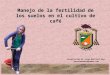 Manejo de la fertilidad de los suelos en el cultivo de café Recopilación de Jorge Martínez Rayo jmartinazaret@yahoo.com