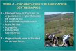 TEMA 4.- ORGANIZACIÓN Y PLANIFICACION DE ITINERARIOS. 1.- Elementos y actores en la organización y planificación organización y planificación de itinerarios: