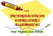 FACTORIZACIÓN DE EXPRESIONES ALGEBRAICAS Prof. Virginia Casas Dávila