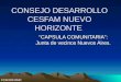 CONSEJO DESARROLLO CESFAM NUEVO HORIZONTE CAPSULA COMUNITARIA: Junta de vecinos Nuevos Aires. FCR/JOF/AMC