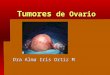 Tumores de Ovario Dra Alma Iris Ortiz M. Embriología