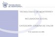 TECNOLÓGICO DE MONTERREY INCUBADORA SOCIAL CATEGORÍA: CADENA DE VALOR 8 de septiembre de 2008