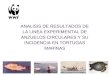 ANALISIS DE RESULTADOS DE LA LINEA EXPERIMENTAL DE ANZUELOS CIRCULARES Y SU INCIDENCIA EN TORTUGAS MARINAS