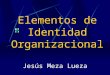 Elementos de Identidad Organizacional Jesús Meza Lueza