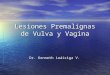 Lesiones Premalignas de Vulva y Vagina Dr. Kenneth Loáiciga V