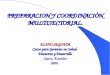 PREPARACION Y COORDINACIÓN MULTISECTORIAL. ELVIO SEGOVIA Curso para Gerentes en Salud, Desastres y Desarrollo Quito, Ecuador 2000