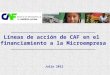 Líneas de acción de CAF en el financiamiento a la Microempresa Julio 2012