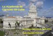 LA ACADEMIA DE CIENCIAS DE CUBA Principales actividades 2005-2007 Main activities 2005-2007 La Academia de Ciencias de Cuba Principales actividades 2008-2010