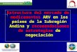 Estructura del mercado de medicamentos ARV en los países de la Subregión Andina y recomendaciones de estrategias de negociación
