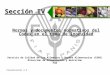 Presentación 4.2 Normas y documentos normativos del Codex en el tema de inocuidad Sección IV Servicio de Calidad de los Alimentos y Normas Alimentarias
