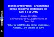 1 Bienes ambientales: Enseñanzas de las iniciativas sectoriales del GATT y la OMC Ronald Steenblik Secretaría de la OCDE (Dirección de Comercio) Taller