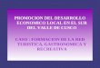 PROMOCION DEL DESARROLLO ECONOMICO LOCAL EN EL SUR DEL VALLE DE CUSCO CASO : FORMACION DE LA RED TURISTICA, GASTRONOMICA Y RECREATIVA