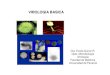 Virologia Basica - Evelia Quiroz