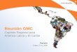 Reunión GMC Capítulo Regional para América Latina y El Caribe Panamá Enero 17-18, 2008