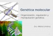1 Genética molecular Organización, regulación y manipulación genética Dra. Mildred Jiménez