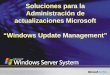 Soluciones para la Administración de actualizaciones Microsoft Windows Update Management