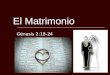 El Matrimonio Génesis 2:18-24. Introducción El matrimonio no es una institución humana. Dios instituyó el matrimonio. El matrimonio es el pacto más antiguo