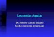 Leucemias Agudas Dr. Roberto Carrillo Briceño Médico internista hematólogo
