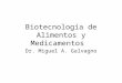 Biotecnología de Alimentos y Medicamentos Dr. Miguel A. Galvagno