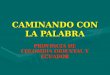 CAMINANDO CON LA PALABRA PROVINCIA DE COLOMBIA ORIENTAL Y ECUADOR