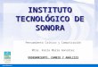 INSTITUTO TECNOLÓGICO DE SONORA Pensamiento Crítico y Comunicación Mtra. Karla Marie González ORDENAMIENTO, CAMBIO Y ANÁLISIS