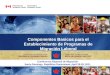 Componentes Basicos para el Establecimiento de Programas de Migración Laboral Conferencia Regional de Migración Santo Domingo, República Dominicana, April